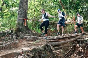 BIB: 
                            <button type="button" onclick="openModal(27716792)" class="btn btn-primary btn-sm float-right btn-popup" data-toggle="modal" data-target=".modal-high-quality">
                        <i class="fas fa-shopping-cart"></i> Add to Cart
                    </button>
                                            <button type="button" onclick="isThisMe(27716792, true)" class="btn btn-success btn-sm float-right btn-popup btn-isme hidden" data-toggle="tooltip" data-placement="bottom" title="นี่คือรูปของคุณใช่ไหม คลิกที่นี่เพื่อเอาเข้าอัลบั้ม">
                        <i class="fas fa-plus"></i> Add to album
                    </button>
                    <button type="button" onclick="isThisMe(27716792, false)" class="btn btn-warning btn-sm float-right btn-popup btn-isnotme hidden">
                        <i class="fas fa-ban"></i> Remove from album
                    </button>